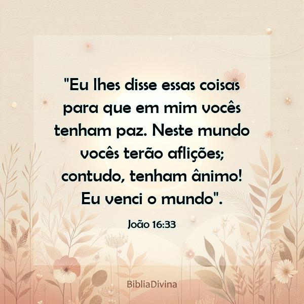 João 16:33