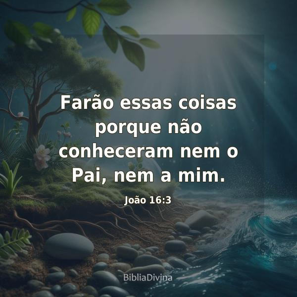 João 16:3