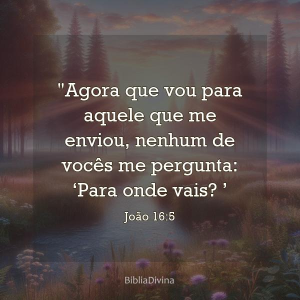 João 16:5