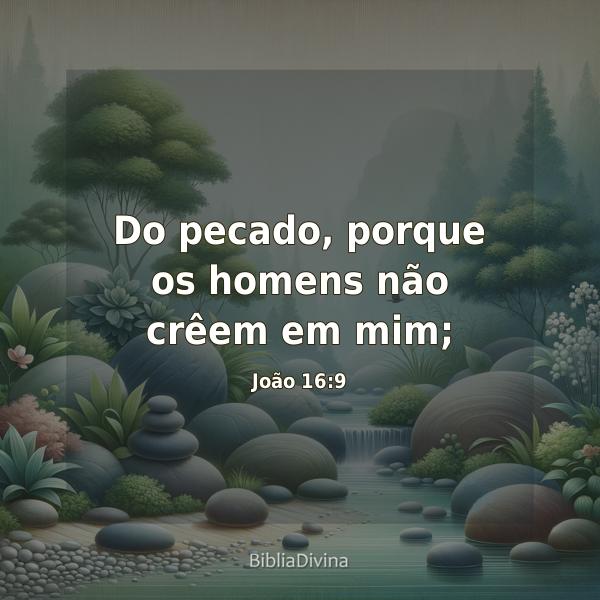 João 16:9