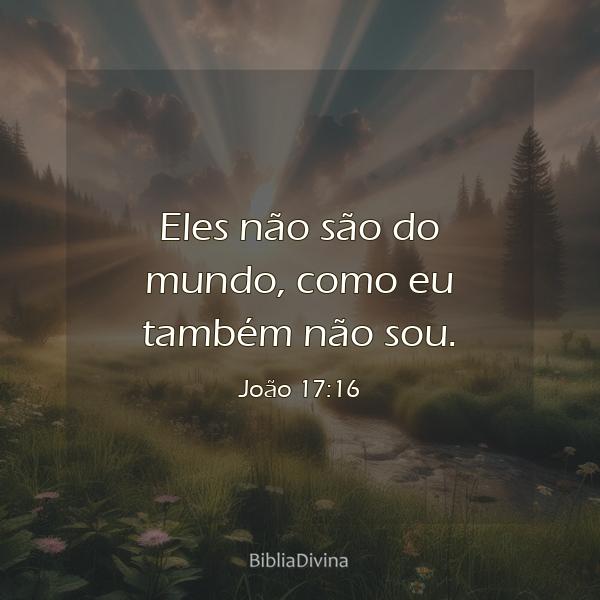 João 17:16