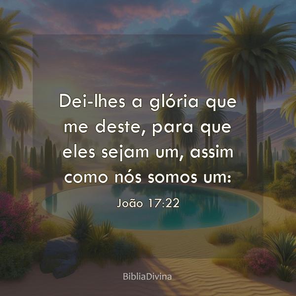 João 17:22