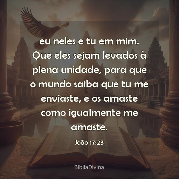 João 17:23