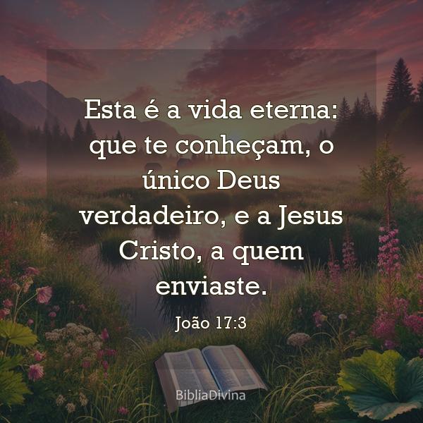 João 17:3