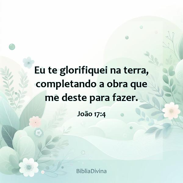 João 17:4