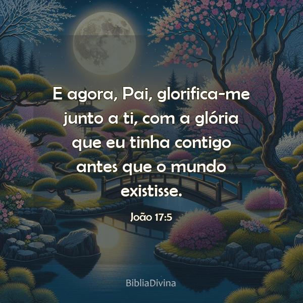 João 17:5