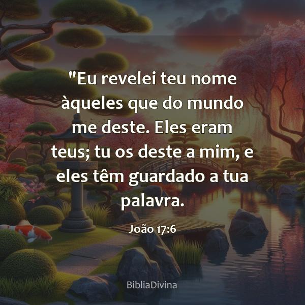 João 17:6