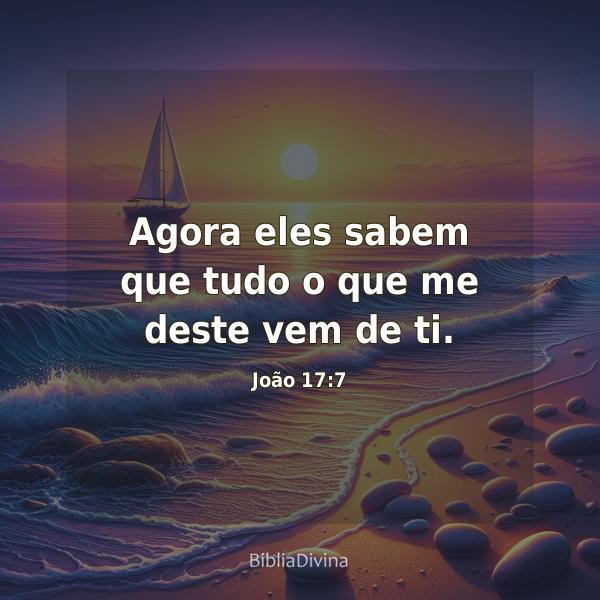 João 17:7