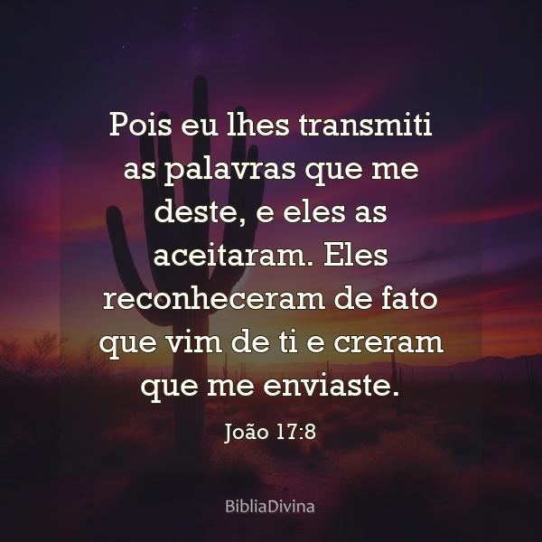 João 17:8