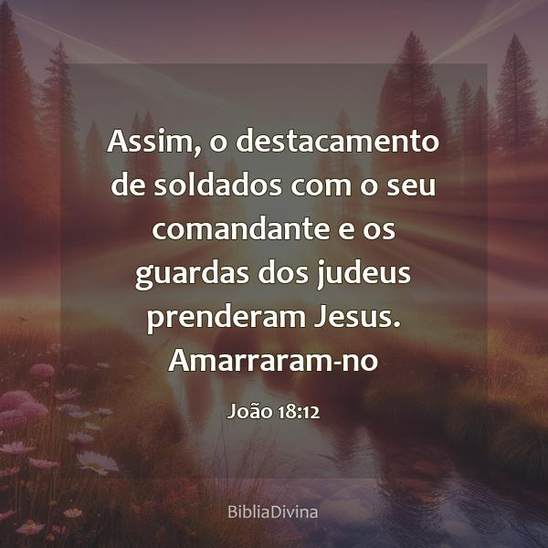 João 18:12