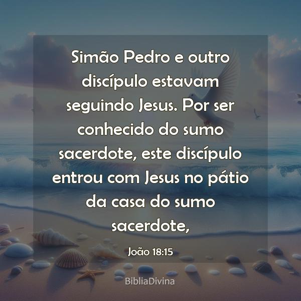 João 18:15