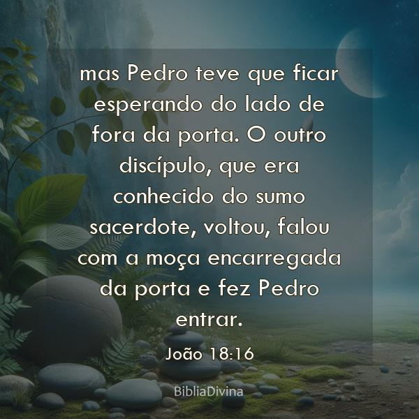 João 18:16