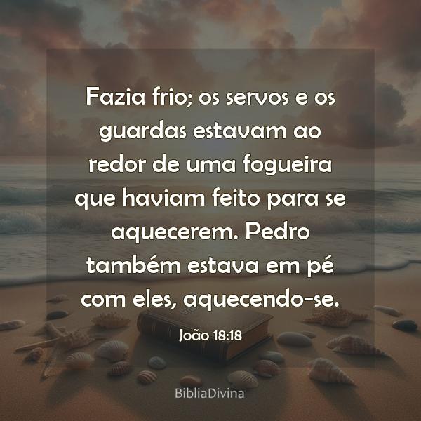 João 18:18