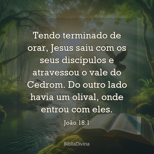 João 18:1