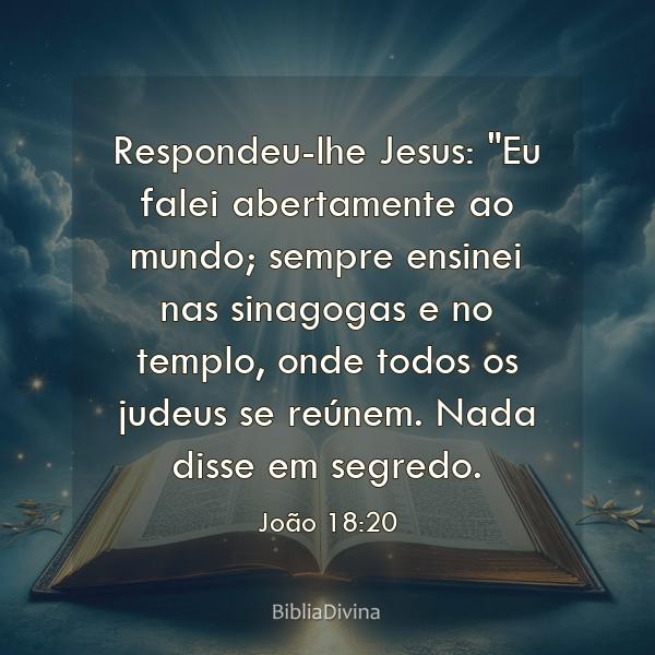 João 18:20