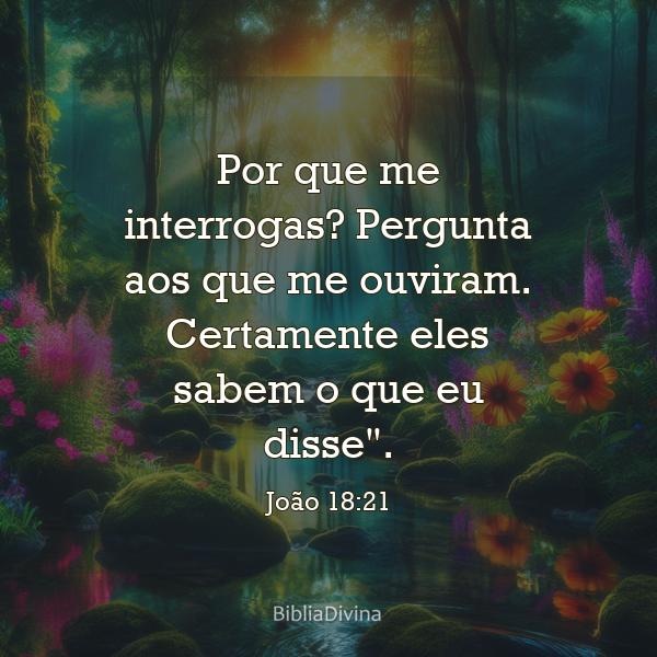 João 18:21