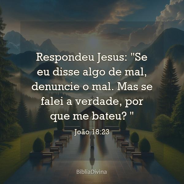 João 18:23