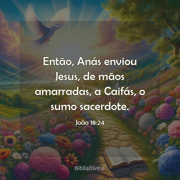 João 18:24