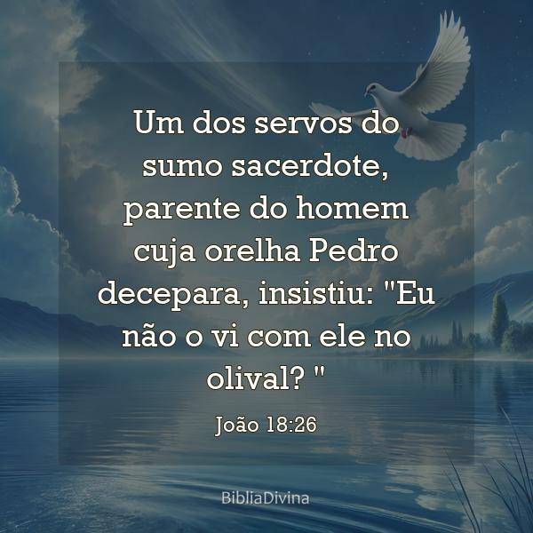 João 18:26