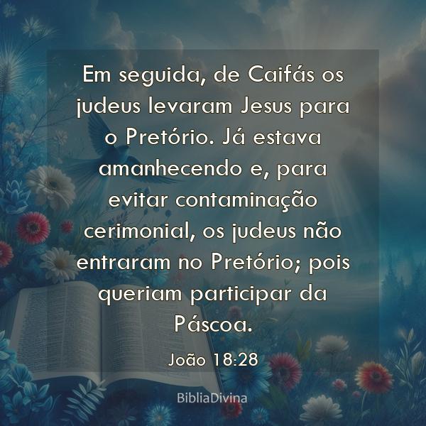 João 18:28