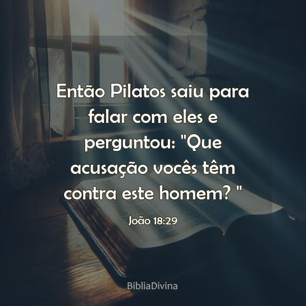 João 18:29