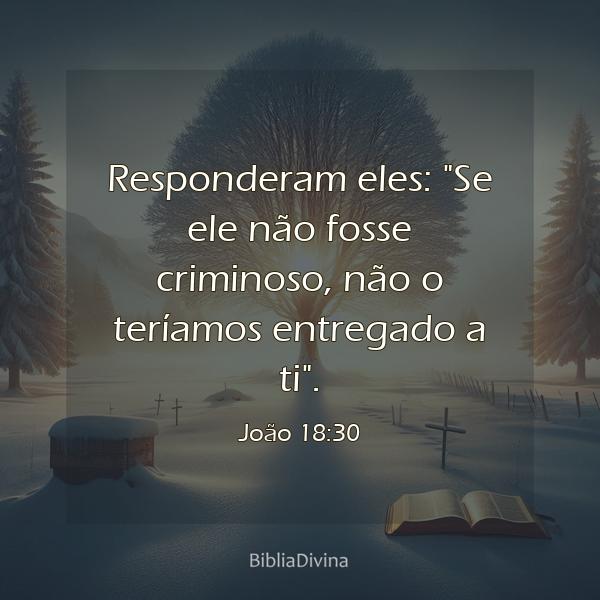 João 18:30