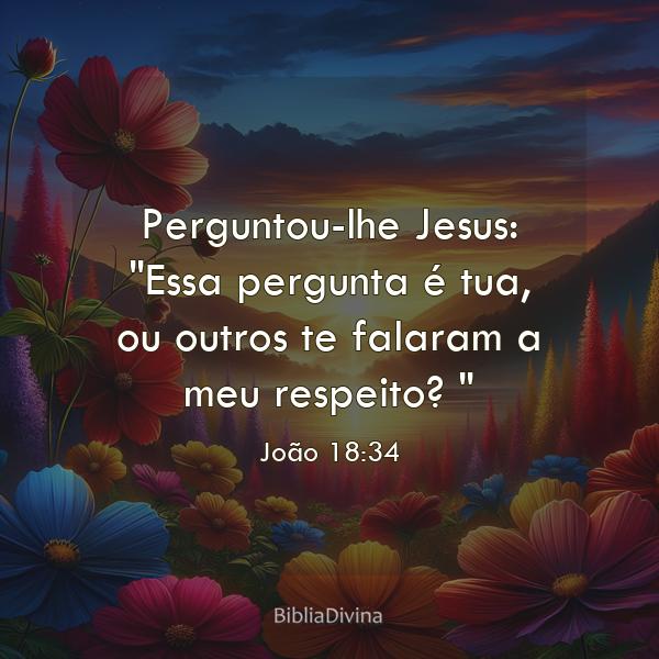 João 18:34