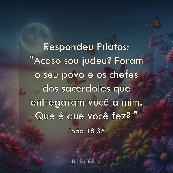 João 18:35