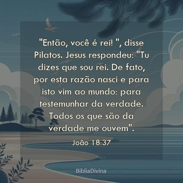 João 18:37