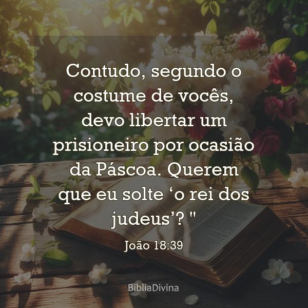 João 18:39