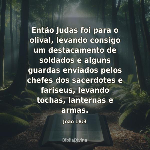 João 18:3