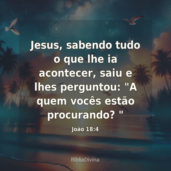 João 18:4