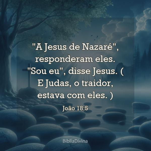 João 18:5