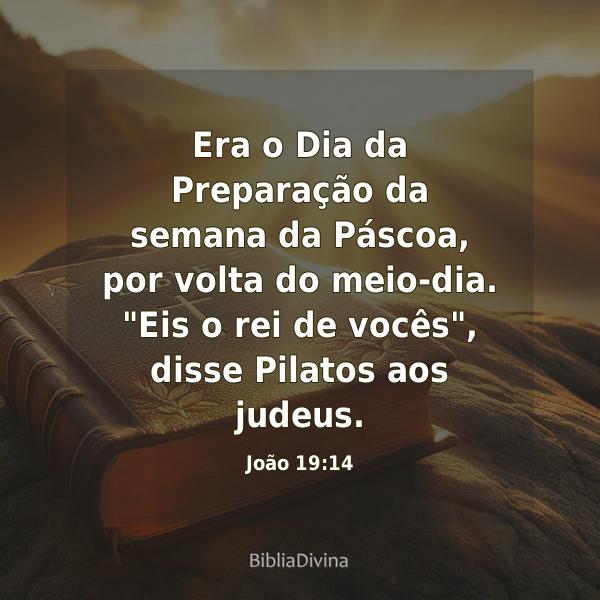 João 19:14