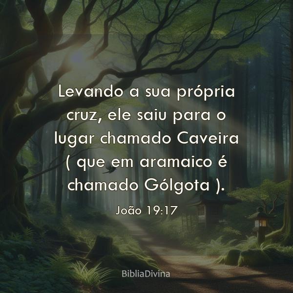 João 19:17