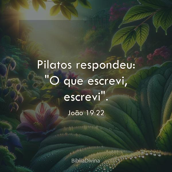 João 19:22