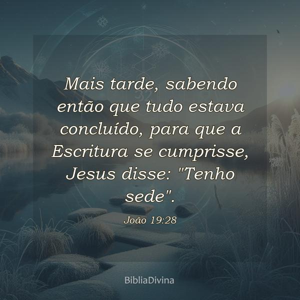 João 19:28