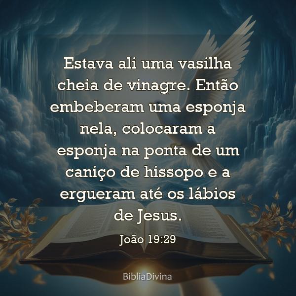 João 19:29