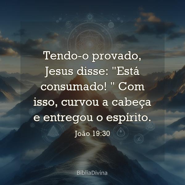 João 19:30