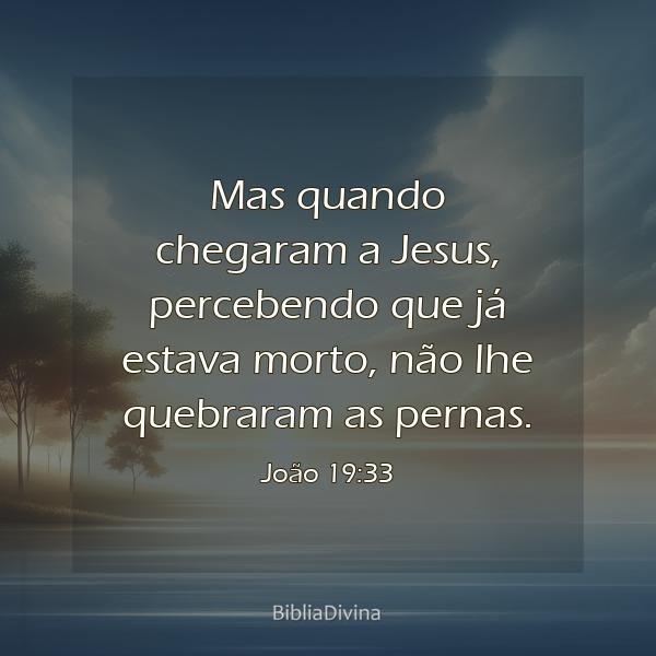 João 19:33