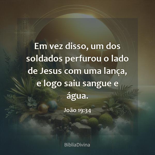 João 19:34