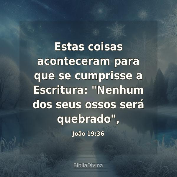 João 19:36