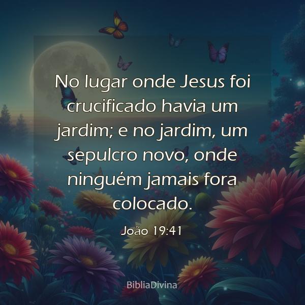 João 19:41