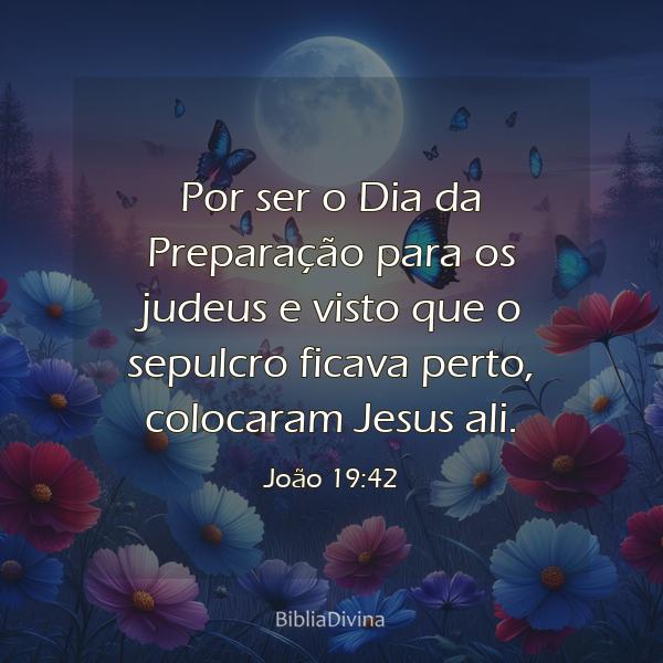 João 19:42