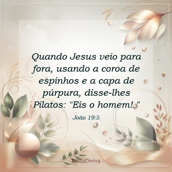 João 19:5