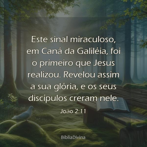 João 2:11