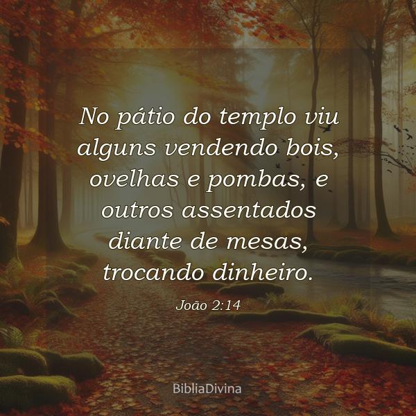 João 2:14