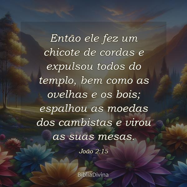 João 2:15