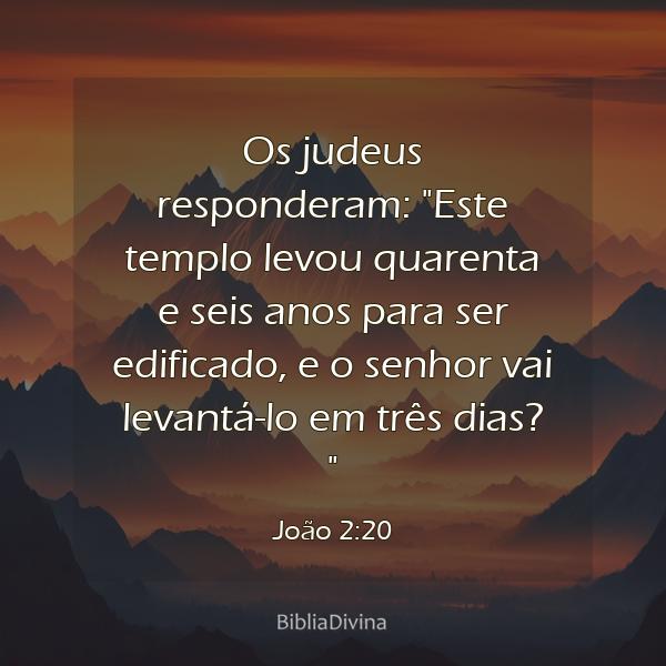 João 2:20