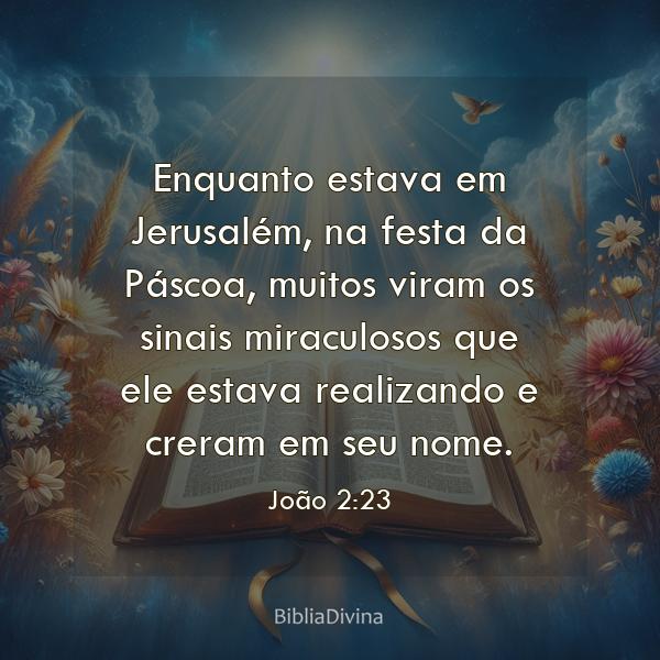 João 2:23